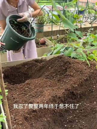 优质营养土,种果树种菜种花都长得很好,可拌土,可直接种#种植小技巧  #干货分享  #小院时光  #营养土