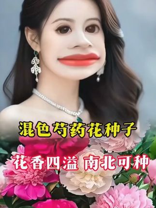 混色浓香霸王花芍药花种子重瓣大花花籽庭院阳台盆栽四季开花室外