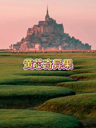 #谁懂这一口的好吃程度  #一口下去超满足  #是时候安排一下了  #猕猴桃 #奇异果