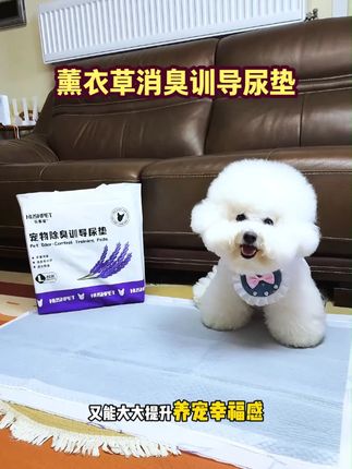 选对尿垫,小狗定点如厕超简单! #萌宠好物#狗狗定点上厕所 #宠物尿垫 #养狗经验分享 #乐事宠