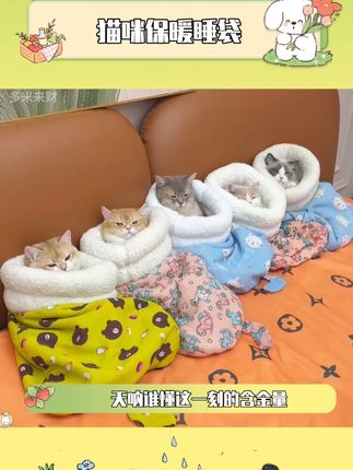 天呐!谁懂这一刻的含金量#猫窝 #猫咪 #萌宠好物 #猫咪睡袋