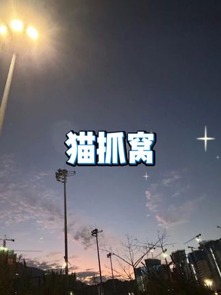 星空猫窝猫抓板一体猫床 - #猫窝 #猫抓板 #猫咪用品