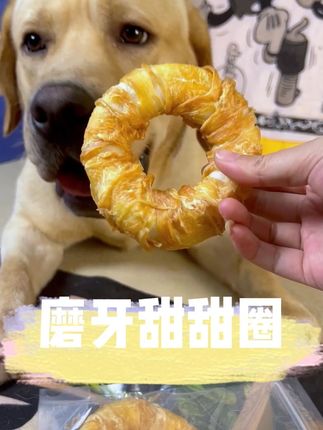 狗狗磨牙小零食鸡肉甜甜圈#狗零食 #萌宠好物 #狗狗磨牙棒推荐 #宠物零食 #拉布拉多