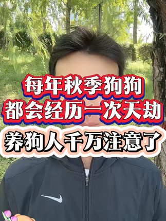 每年秋季狗狗都会经历一次天劫,养狗人千万要注意了#科学养宠攻略 #萌宠出道计划 #萌宠日常记录 #狗狗