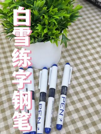 书写流畅!白雪钢笔,笔尖顺滑,练字书写都超棒!#白雪钢笔 #练字钢笔 #EF钢笔 #速干钢笔 #彩色钢笔