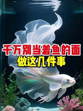 千万别当着鱼儿面做这几件事 #水族#养鱼#观赏鱼#养鱼养心#新手养鱼