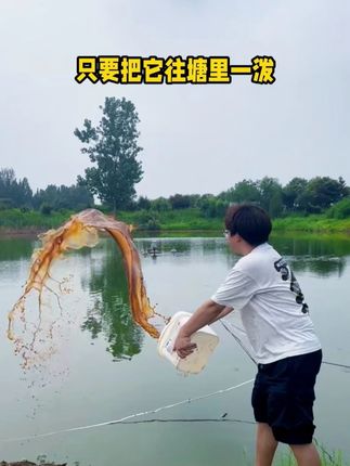 #四大家鱼养殖 #水产养殖 #水产人