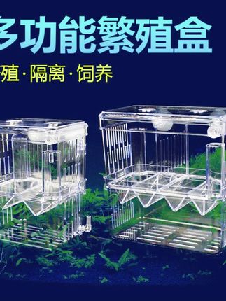鱼缸隔离盒孔雀鱼繁殖盒气动小鱼孵化盒大小号幼鱼孵化器产卵房 #鱼缸隔离盒 #隔离盒 #小鱼孵化盒