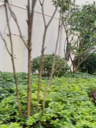 小十三不想去上学哥哥带着去找妈妈,哥哥的宠爱#小十三日常 #萌娃日常 #富勒烯胎盘素精华液 #好物推荐🔥
