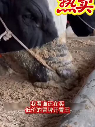 #养殖 #养牛 #养牛人 #三农 #牧饲康开胃王