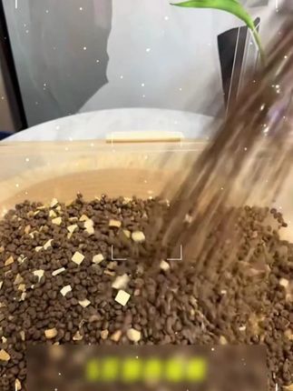 猫粮不是越贵越好,这款猫粮平价,关键猫孩子很爱吃,#猫粮推荐 #平价猫粮 #平价猫粮 L