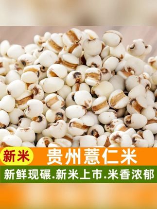 大薏仁米生薏米仁薏仁新米正宗薏仁米新鲜贵州薏米仁泡水煮粥净重#大薏仁 #生薏米 #薏米仁 #薏仁 #贵州薏米仁