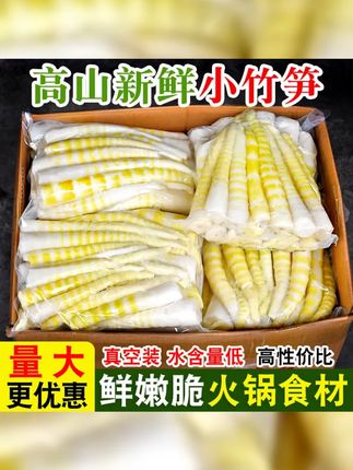 四川高山新鲜去壳小竹笋,笋尖脆嫩,火锅必备。1 2 4斤装可选,清水笋口感佳,尝鲜别错过。 #火锅笋 #四川竹笋 #清水笋 #新鲜竹笋 #脆嫩小竹笋