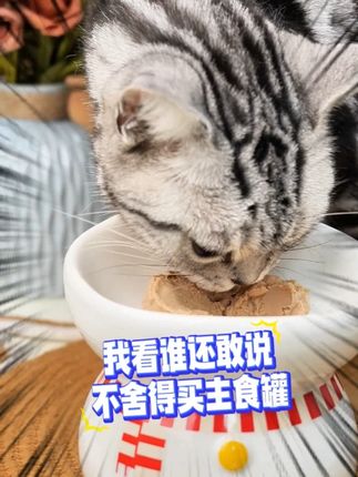 我看谁还舍不得买主食罐!现在到手18罐只要两位数了!#麦富迪 #萌宠好物 #宠物用品