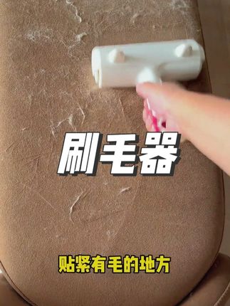家里有宠物的可以入手这个刷毛器,猫毛,狗毛,头发都能轻松搞定#萌宠好物 #刷毛器 #猫毛解决方案