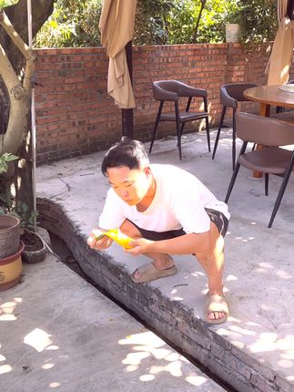 这吃相…芒果:我当时害怕极,了!🙈猪八戒BGM:这我熟!#沉浸式吃播 #吃芒果#上头神曲