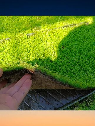 花盆用专用苔藓青苔铺面鲜活苔藓青苔铺面小灰藓搭配庭院盆景盆栽 #花盆苔藓铺面 #鲜活青苔 #小灰藓品种 #庭院盆景搭配 #专用铺面