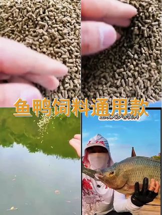 钓鱼鸭饲料鸭饲料钓鱼原塘颗粒罗非鱼窝料腥味鸭饲料滑口鱼鸭饲料 # 鸭饲料钓鱼 # 多功能饵料