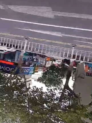 守味庐秭归农家植物甜酒曲传统手工曲酒酿酵母曲家用月子酒曲香甜#酵母#酒酿酵母#植物酵母#传统酵母#手工酵母