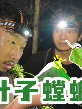 Jason（浴桶）的自然笔记