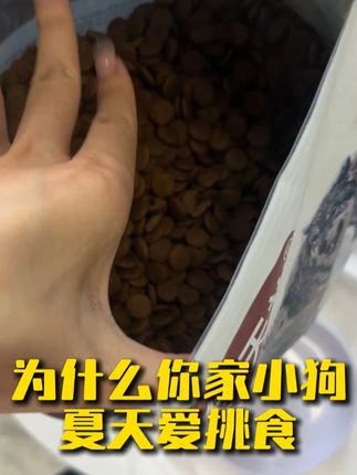 为什么夏天小狗爱挑食 #狗狗挑食 #狗粮推荐 #狗狗