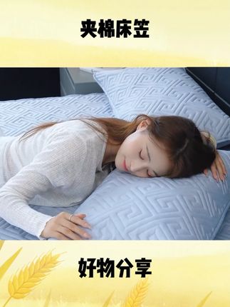 V/雅鹿新款夹棉床笠席梦思床垫保护套四季通用加厚纯色防滑床罩A