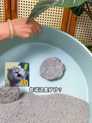 大家一定要试试这个矿砂!添加了新科技从此告别抠盆地! #它帮小蓝矿猫砂 #不粘底的矿砂 #猫砂推荐 #萌宠好物