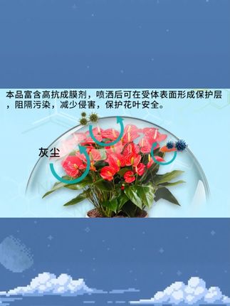 花叶康-官方正品】卡纳玛朵花病康植物活性剂喷雾花卉多肉白粉黑斑当月季长出这种新芽和花苞的时候,一定要做好这件事,否则没花看了#养护小技巧 #种植小技巧 #月季