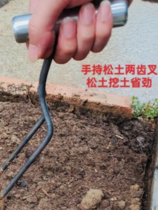 喜欢在家养花种菜的农友,一定要备一个松土二齿叉,操作简单,方便又实用#家庭种植 #种植小技巧 #养花小知识 #在家种菜 #园艺工具
