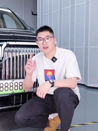 适用25款全新岚图梦想家防虫网耐高温防护ABS塑料黑化前脸饰条#岚图 #梦想家 #汽车 #好货推荐 #防虫网