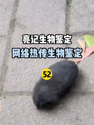 无穷小亮的科普日常