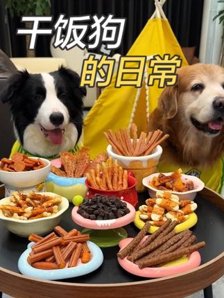 这一箱零食就够狗狗吃好久了! #干饭狗的日常 #狗零食 #狗狗零食推荐 #麦富迪 #养狗人