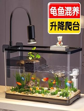 乌龟饲养缸生态造景巴西龟家用混养缸升降爬台带盖养龟养鱼专用箱#养鱼养心 #养鱼日记 #轻松养鱼