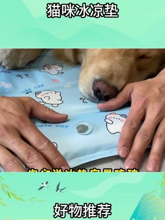 宠物猫咪冰凉垫#好物测评 #凉席 #宠物