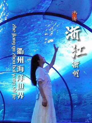 衢州也有自己的海洋世界了 #衢州人自己的海洋世界 #我在四省通衢的蓝色之约 #衢州海洋世界#遛娃好去处 #国庆节