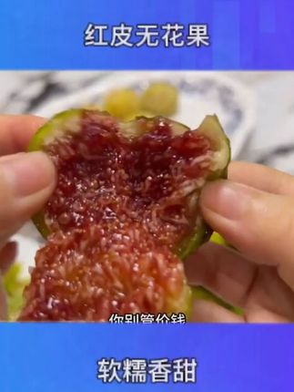 怎么能不为无花果着迷呢,软软糯糯的口感,一口流蜜,我一次能吃好几个#无花果 #老树无花果 #流蜜无花果 #水果自由 #无花果自由