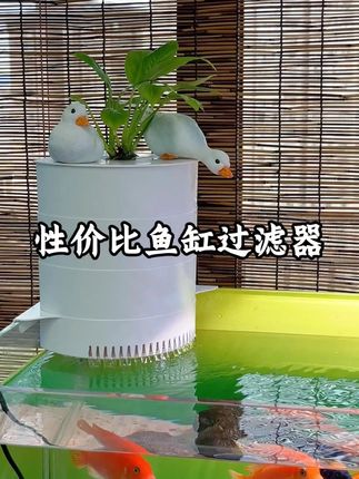 鱼缸鱼池过滤器净水循环养鱼周转箱增氧循环系统过滤设备【不带泵 #鱼池过滤器 #鱼池过滤器推荐 #鱼池过滤器水循环箱 #循环系统过滤设备 #过滤设备