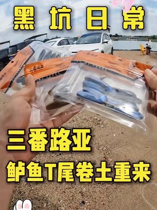三番路亚 鲈魚T尾软饵鳜鱼鲈鱼黑坑微铅匀收远投路亚假饵 #黑坑盘老板 #软饵 #T尾 #t尾软虫 #三番路亚