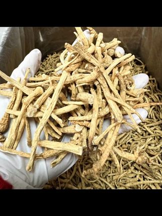 新货特惠正宗西洋参花旗参参腿可泡水煲汤可代打粉 #正宗西洋参 #滋补养生食材 #山货 #土特产走出大山 #花旗参