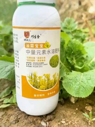油菜宝宝生根壮苗促进开花花多结荚多中量元素增产叶面肥