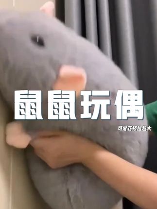 终于可以肆无忌惮的玩鼠了! #花枝鼠 #玩偶 #毛绒玩具 #可爱花枝鼠 #闺蜜情侣礼物