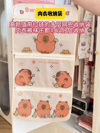 高颜值带拉链的多层网兜收纳袋,内衣裤袜子都可以分层收纳,不仅干净卫生拿取方便、关键一点不占衣柜空间!!#收纳整理 #网兜收纳袋 #女生必备 Z