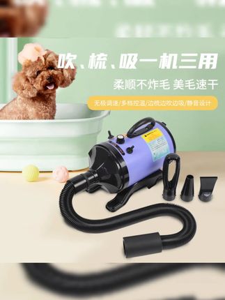 北极宠狗狗吹水机宠物吸吹一体宠物烘干吹毛神器大功率宠物吹风机#宠物吹水机 #宠物吹风机 #吹水机 #宠物洗澡 #狗狗洗澡
