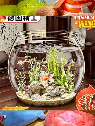 圆形鱼缸塑料一体成型防摔耐摔不坏高透仿玻璃客厅小型桌面生态缸  #养鱼养心 #养鱼日记 #轻松养鱼