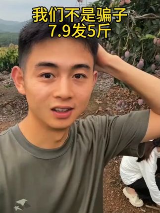 #贵妃芒 芒果