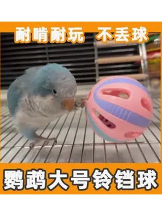 鹦鹉玩具铃铛球解闷自嗨啃咬陪伴训练互动益智解压玄风虎皮逗鸟用#小太阳牡丹玄凤鹦鹉啃咬玩具 #虎皮小鸟笼子玩具 #解闷自嗨发声玩具球 #巨量千川 #抖音热点