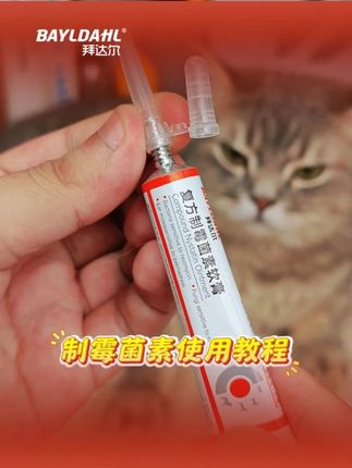 【新手包教】拜达尔爆款耳螨膏使用教程来辣!zjc 不会用的包子建议三连一下避免找不到哦~!#拜达尔耳螨膏 #拜达尔 #猫咪耳螨 #猫咪耳螨怎么办