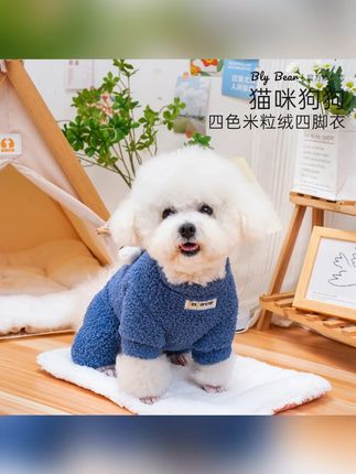 【四色米粒绒四脚衣】狗狗衣服秋冬款中小犬泰迪比熊博美四脚衣保暖#狗狗衣服 #秋冬宠物衣 #四脚衣 #中小犬 #米粒绒