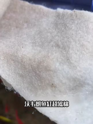 沃韦朗鱼缸超滤棉结实高密度净化专用净水反复使用可清洗棉耐用