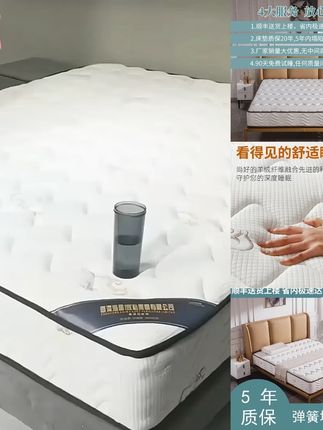 席梦思十大名牌软硬两用20CM乳胶椰棕独立簧软垫家用加厚床垫